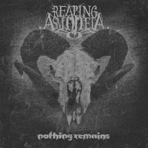 Nothing Remains - Single