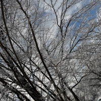 go wit me - Single - drxl