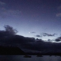 noir - Single - julez