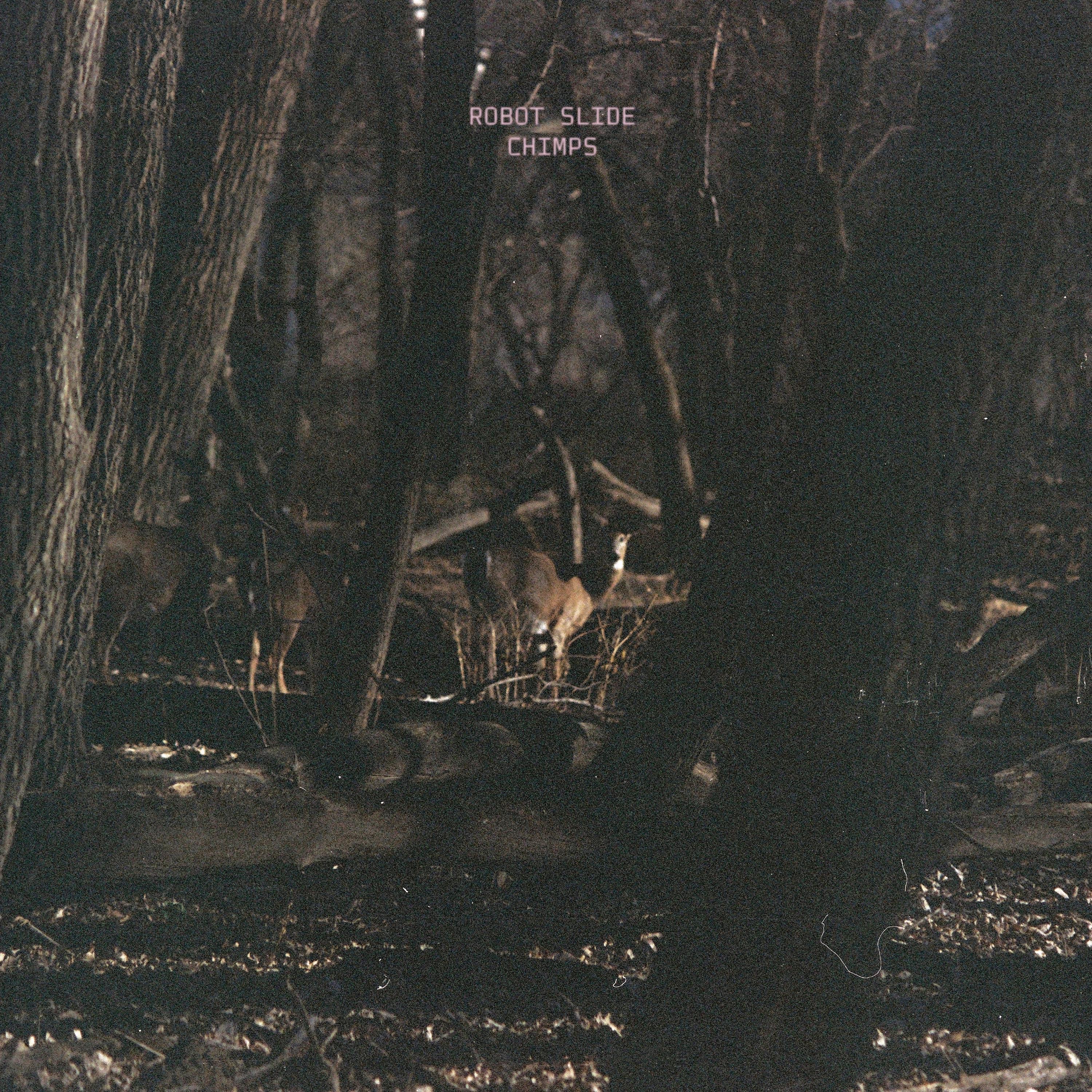 Afternoons Dark - Single