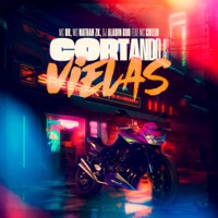 Cortando as Vielas (feat. Mc Collin) - Single - Mc DR, Mc Nathan ZK & Dj Aladin GDB