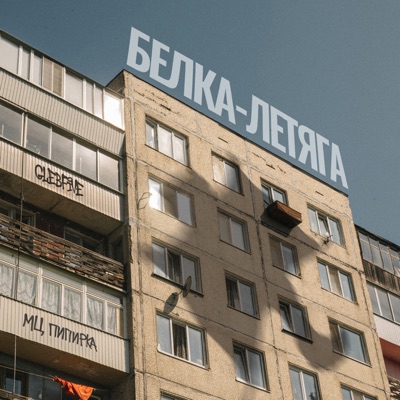 белка-летяга - Single