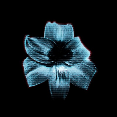 Autonomy - Single