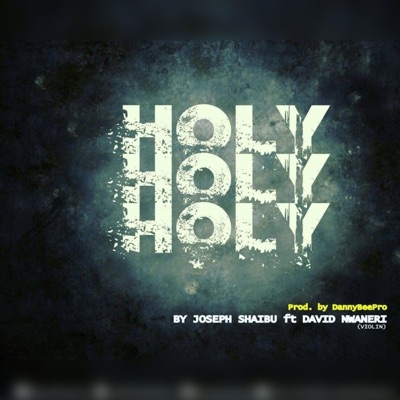 RECIEVE GLORY (feat. David Nwaneri (Violin)) - Single