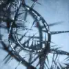 Dreary - Blight / Aglow