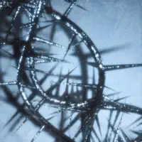 Blight — Dreary