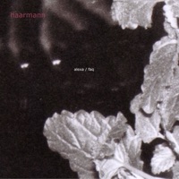 Alexa / FAQ - Single - Haarmann