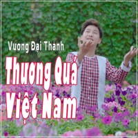 Thương Quá Việt Nam - Single - Vương Đại Thành