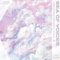 Sea of Voices - Single - Areeb Mahmood & HYLIA
