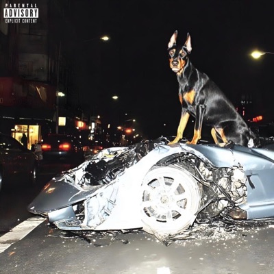 FULL THROTTLE (feat. Francis) - Single