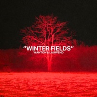 WINTER FIELDS (Radio Edit) - Single - Wanton & LAUWEND