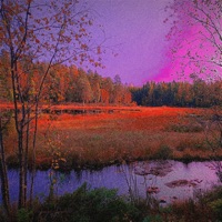 Elise D - Single - DUALFO & Kazal