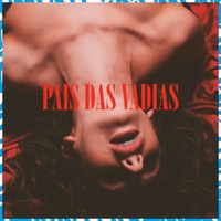 País das Vadias - Single - MC Matheuzinho do MS & Dj Vinny ZL