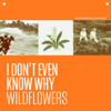 I Don't Even Know Why - Wildflowers