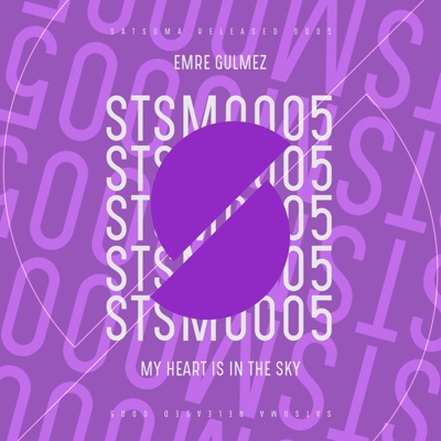 My Heart Is In The Sky - Single