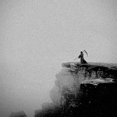 YUNGINS FROM THE BEACH