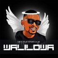 P'Jay x Walilowa (Dj Abi & DeeJaY Stephane Tropical Refix) by Dj Abi