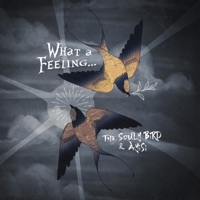 What a Feeling - Single - The Souly Bird & Ayisi
