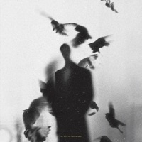 Fading Alone - Single - Cem Gemalmaz