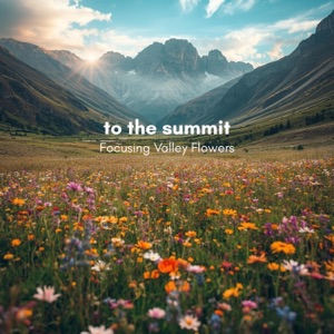 To The Summit - EP