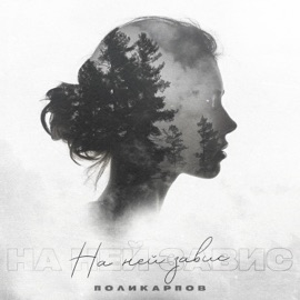 На ней завис ПОЛИКАРПОВ