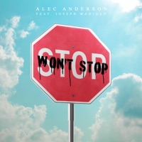 Won't Stop (feat. Madigan) - Single - Alec Anderson