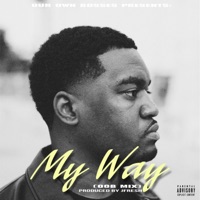 My Way (OOB Mix) - Single - Darrion