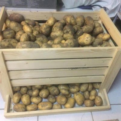 Kartoffelkiste (feat. Kanisterkopf & Horst) - Single