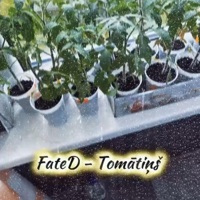 Tomātiņš - Single - FateD