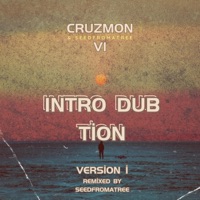 Introduction Dubmix Version EP - Single - Seedfromatree & Cruzmon Vi