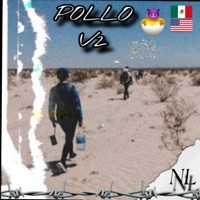 POLLO V2 - Single - NL