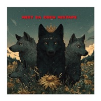 Album cover for Meet da crew mixtape - EP by Drippking1nonly