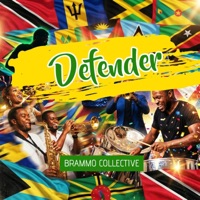 Defender