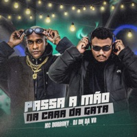 Passa a Mão na Cara da Gata - Single - DJ DN da VR & MC Durrony
