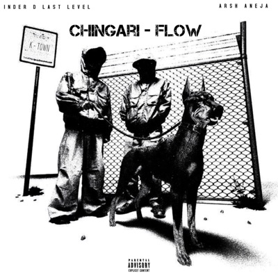 Chingari Flow (feat. Arsh Aneja) - Single