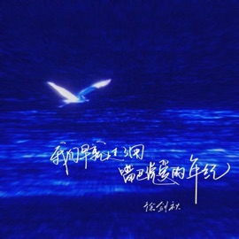 我们早就过了用嘴巴说爱的年纪 徐剑秋