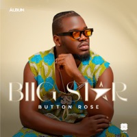 Biig Star - Button Rose