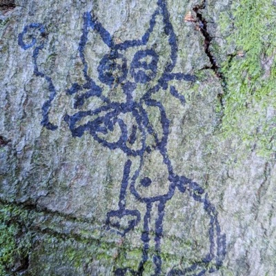 floorboards - Single