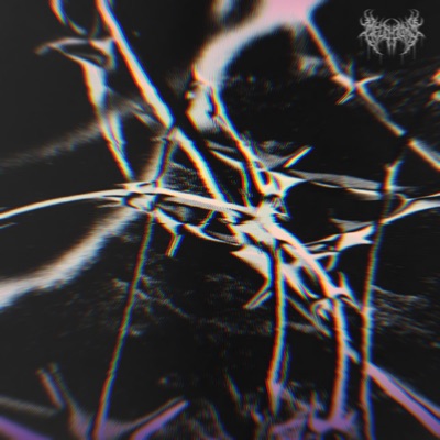 Stilled Shadows - EP