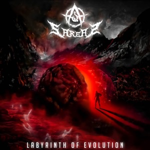 Labyrinth of Evolution