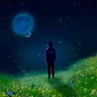 Blue Butterflies - lilxthegod