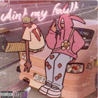 Aint my fault (feat. Alex Ample) - Single