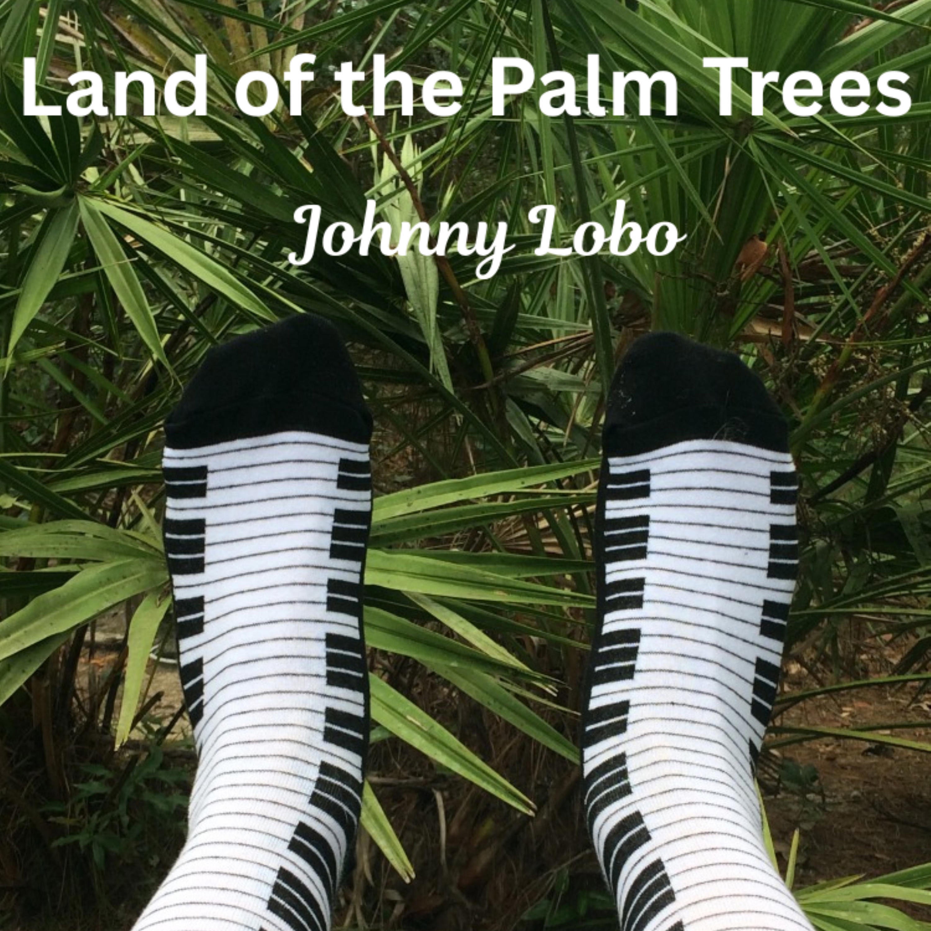 Land Of The Palm Trees - Single