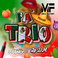Pa' Trío (feat. La Dani Maquillaje La DM) - Single - Mr Franky