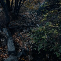 HeartStop (feat. Grimmane) - Single - Duhhhck