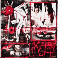 HEIFERS - MEAT - Single - 1dle