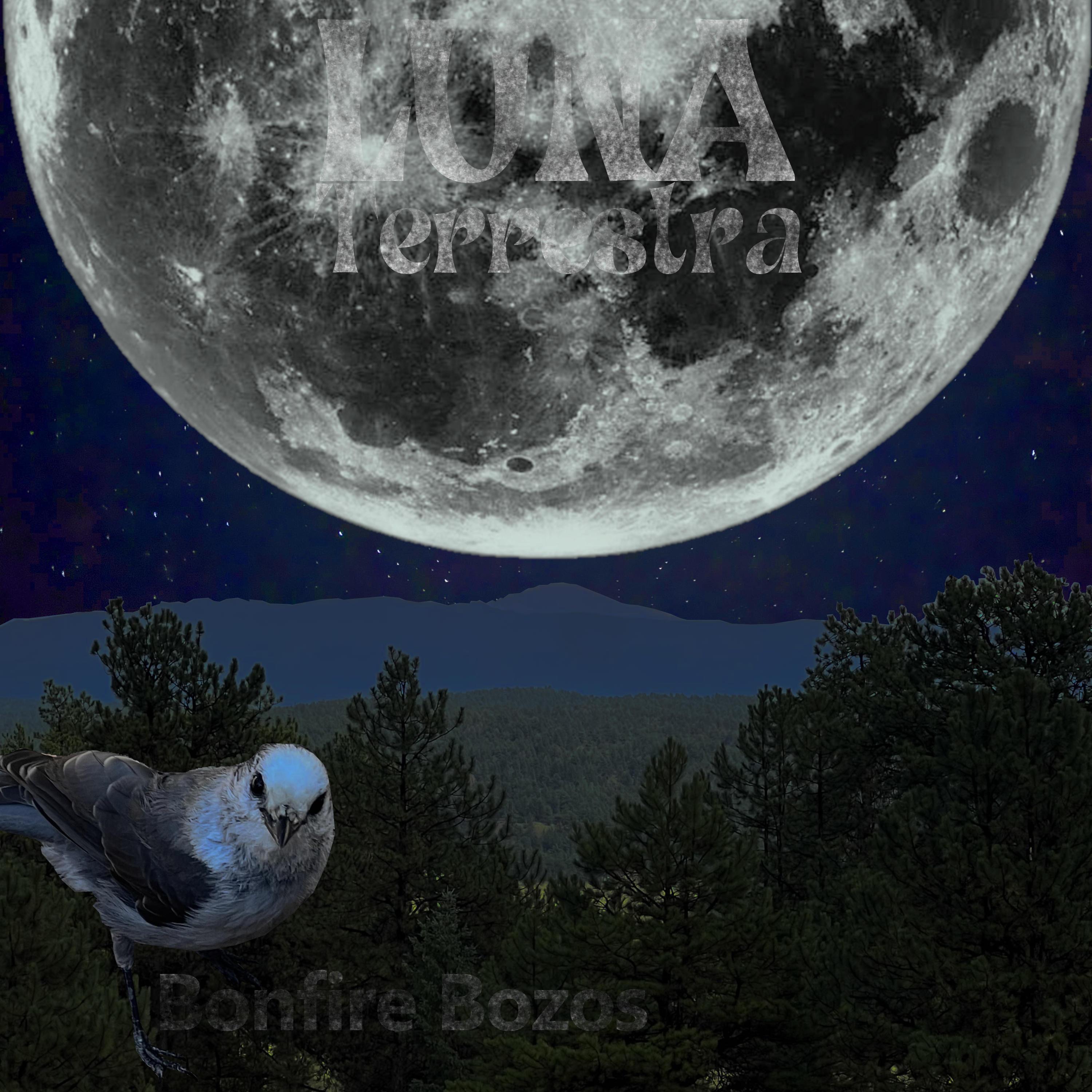 Luna Terrestra - Single