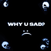 Why U Sad? - Single - JOLLY WRLD, PVNKSTXRNATION & mez