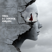 Wonderful Life song art