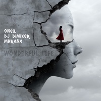 Wonderful Life - Single - ONEIL, DJ DimixeR & MURANA